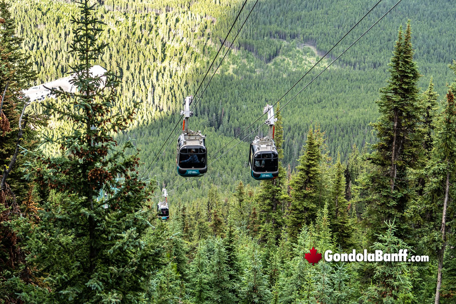 Banff Gondola Cars at Sulphur Mountain Top 3