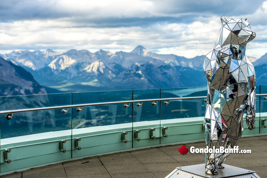 The Mirror Bear at the Banff Gondola