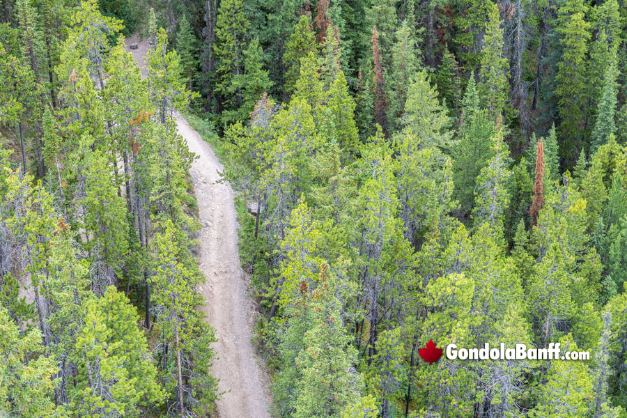 The Winding Hiking Trail to the Summit