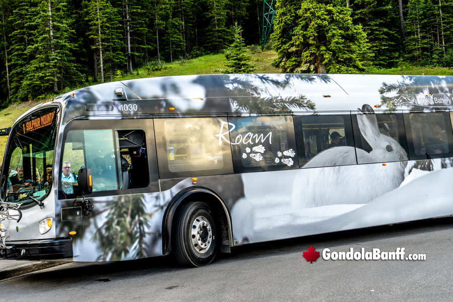 Roam Transit to the Banff Gondola