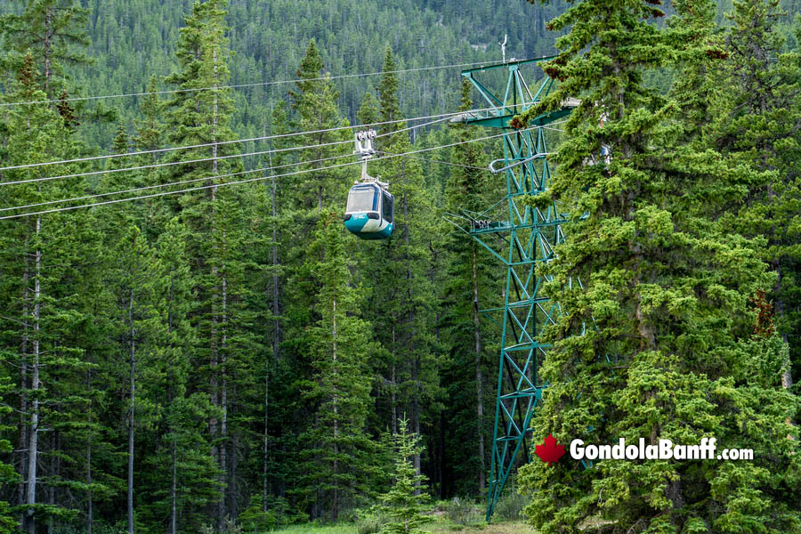 Riding Up on the Gondola Today