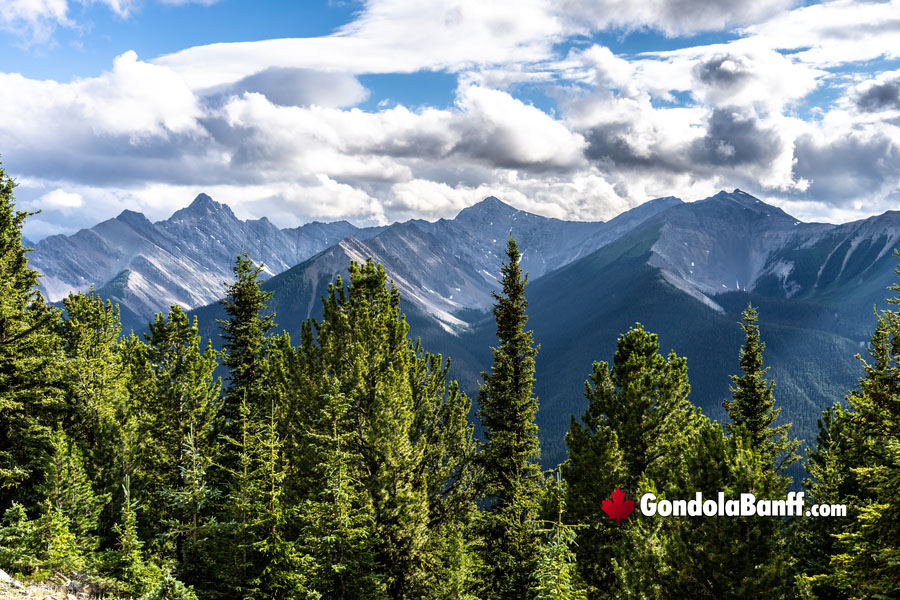 Amazing Views from Sulphur Mountain Banff National Park Gondola