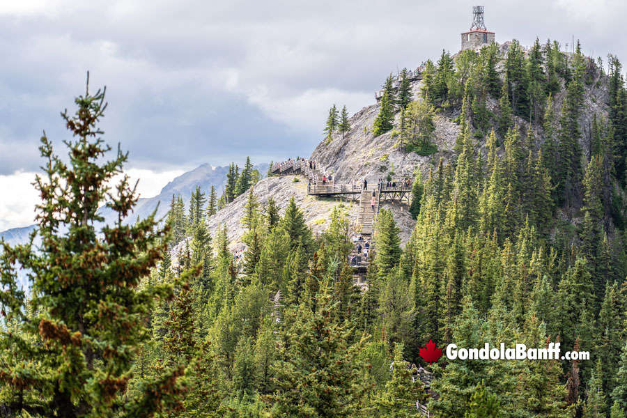 Boardwalk Top Hike at Sulphur Mountain