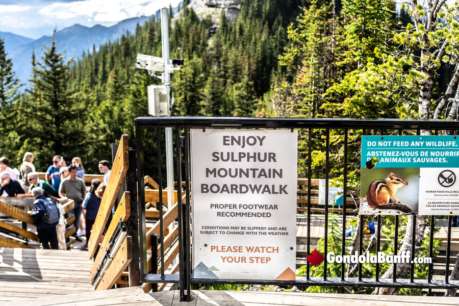 Enjoy the Boardwalk atop Sulphur Mountain