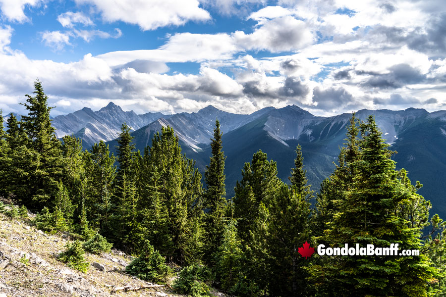 Rear Top Views at the Sulphur Mountain Summit