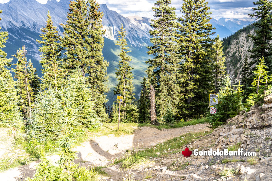 Tips For Hiking Sulphur Mountain