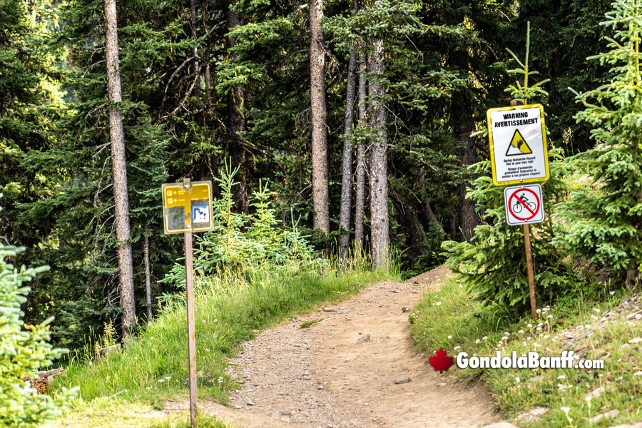 Hiking Trail at the Banff National Park Gondola