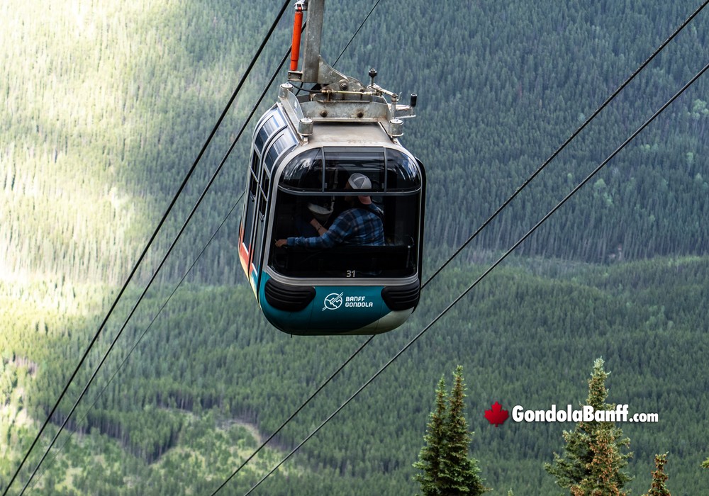 Gondola Cabins