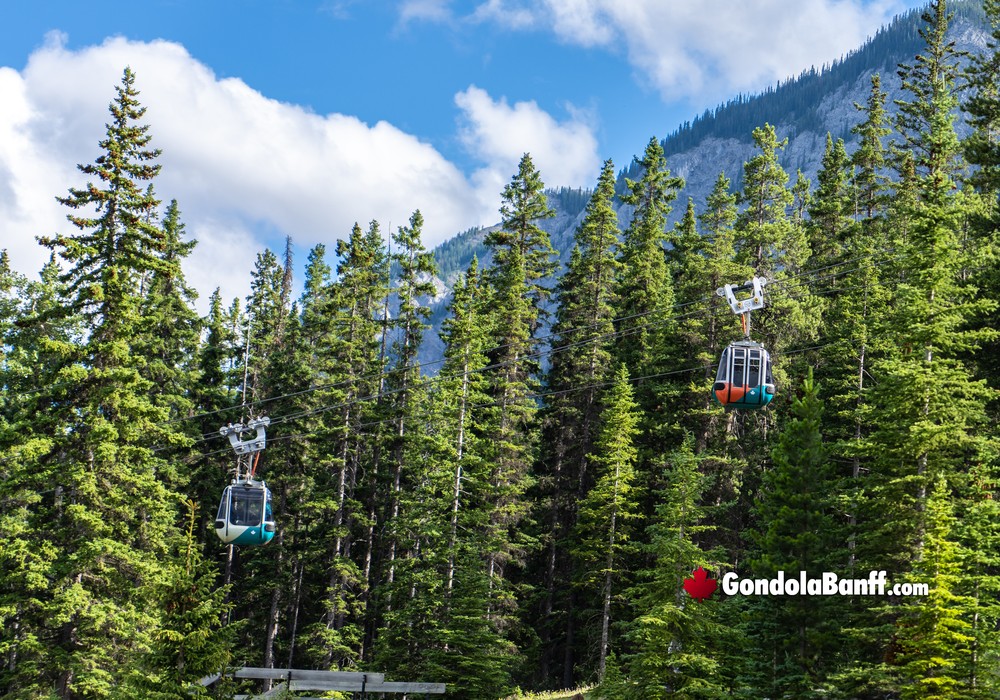 Gondolas Rising Sulphur Mountain Banff
