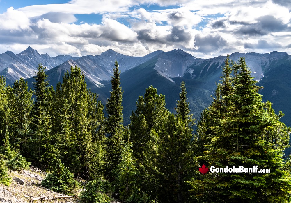 Incredible Mountain Views