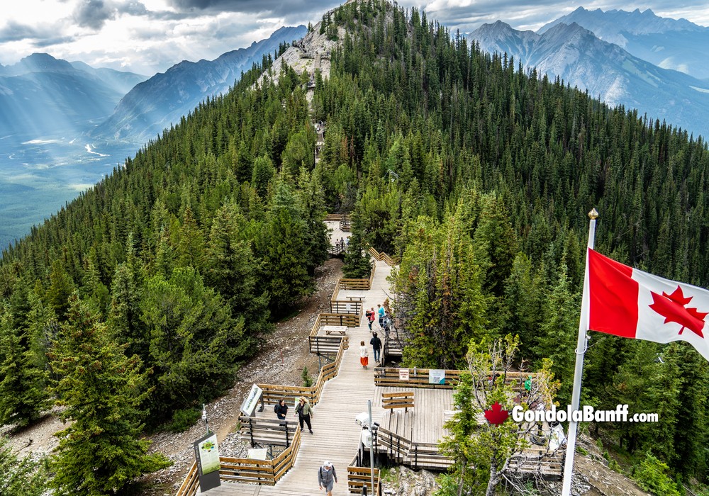 Sunset Boardwalk Views