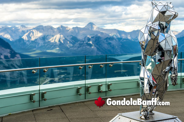 Banff Gondola Observation Deck Mirror Bear