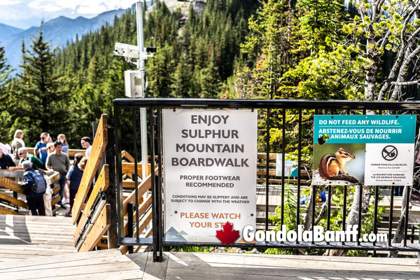 Banff Gondola Sulphur Mountain Boardwalk