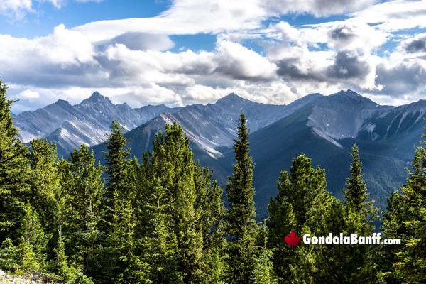 Banff Gondola in August